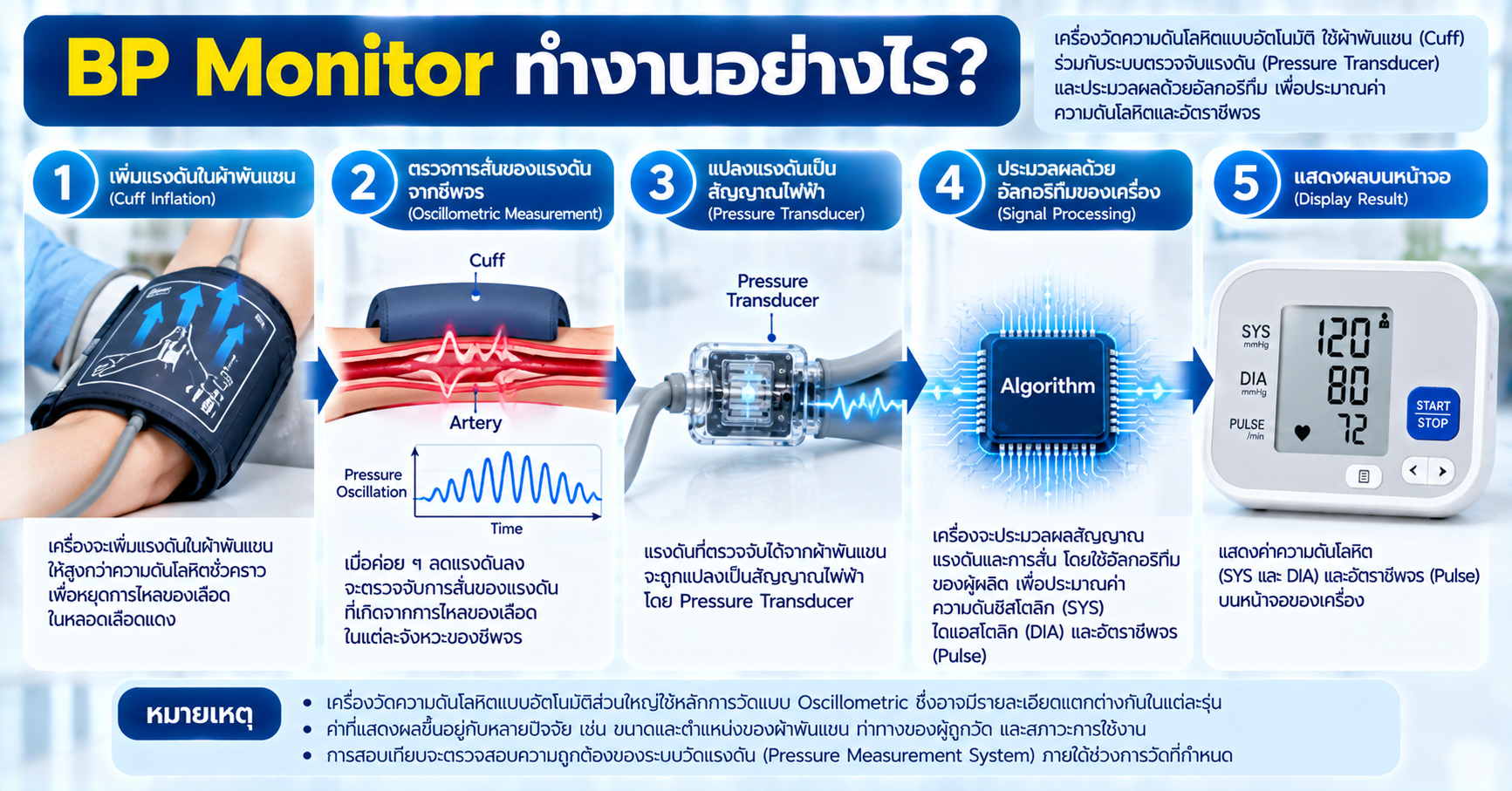 หลักการทำงานของเครื่องวัดความดันโลหิตแบบอัตโนมัติ ตั้งแต่ Cuff ตรวจแรงดันจนแสดงค่า SYS DIA และ Pulse